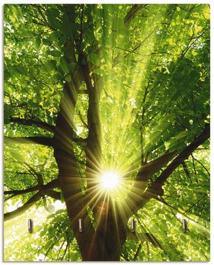 Artland Hakenleiste Sonne strahlt explosiv durch den Baum, MDF