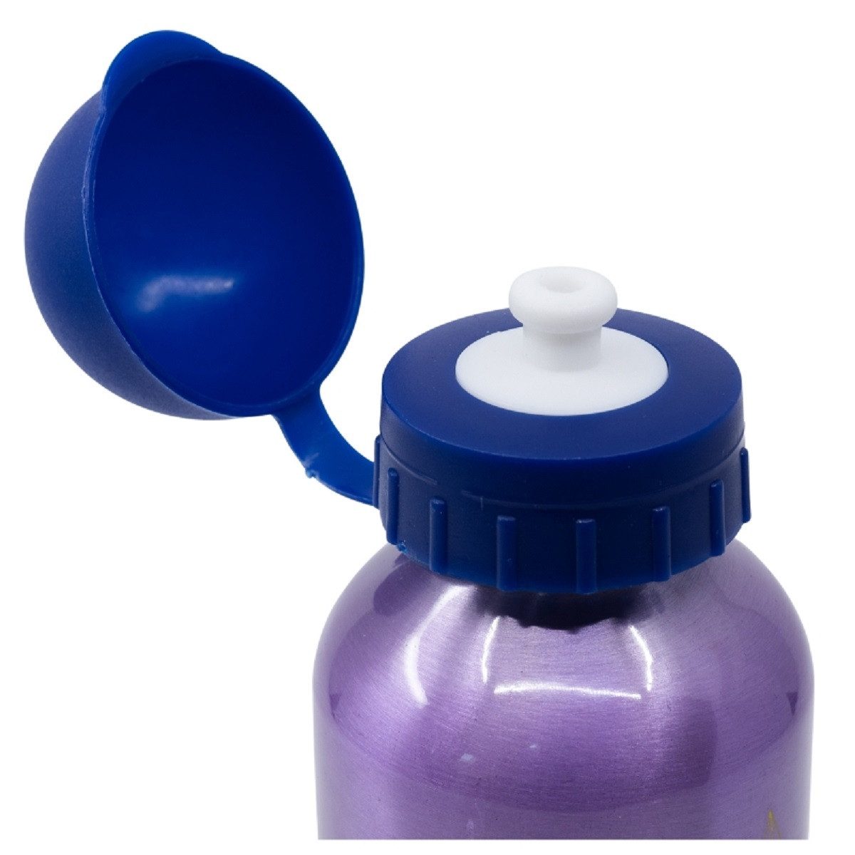 Disney Frozen Trinkflasche Aluminium Trinkflasche 400 ml – Auslaufsicher & Praktisch