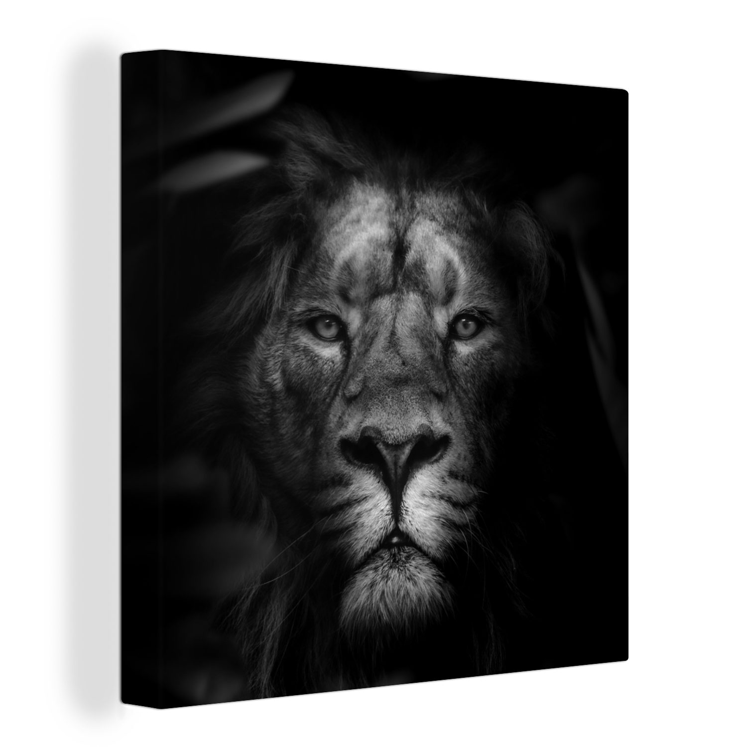 OneMillionCanvasses® Leinwandbild - Löwe Wohnzimmer Schlafzimmer - - Tiere für Wilde Leinwand Bilder Schwarz Weiß, St), - Tiere (1