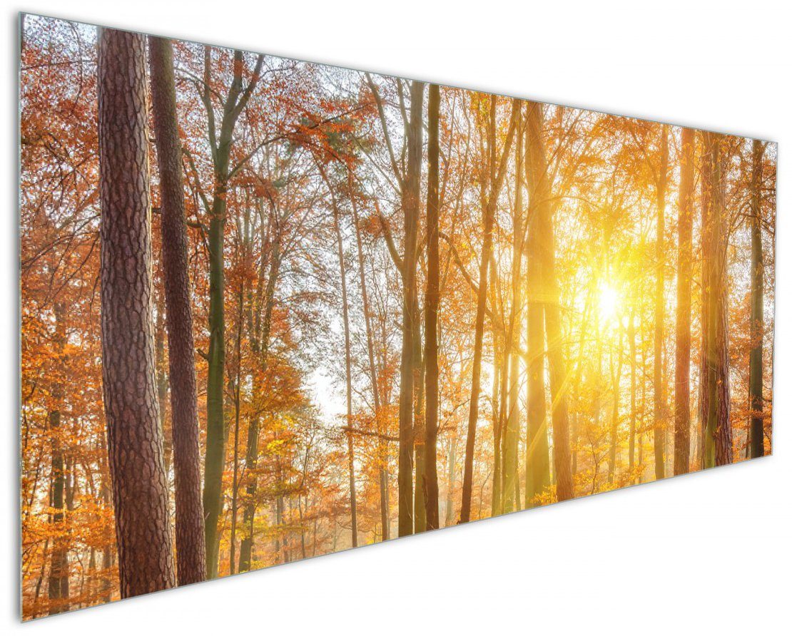 Wallario Küchenrückwand Sonnenuntergang im herbstlichen Wald, (1-tlg)