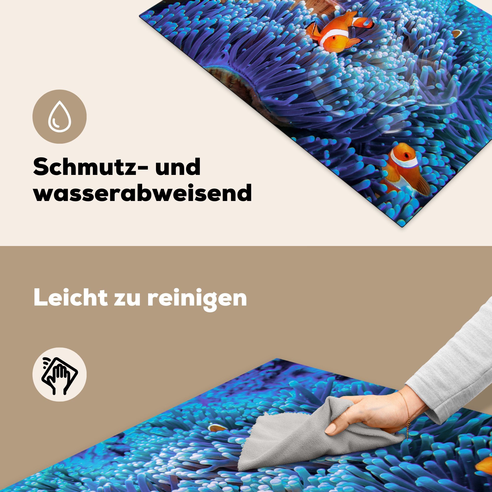 durch küche, Schutz tlg), die 81x52 Dreibandige Induktionskochfeld blaue (1 Anemonenfische cm, Herdblende-/Abdeckplatte Vinyl, schwimmen Korallen, MuchoWow Ceranfeldabdeckung für