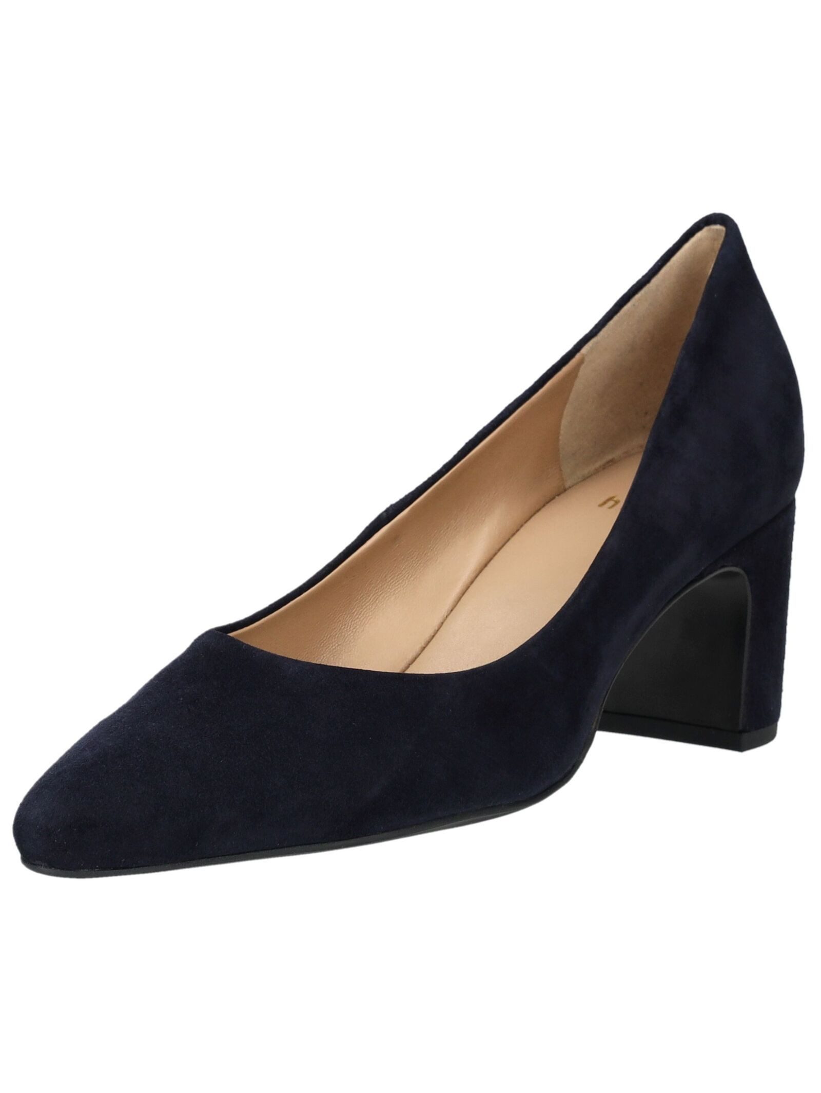 Högl Högl Pumps Veloursleder Pumps