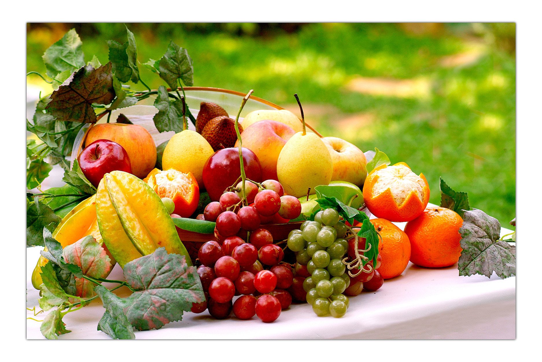 LYSCO Poster XL 70 x 50cm Küche Frisches Obst mit Weintrauben (S-829), gedeckter Tisch mit frischem Obst und saftigen Weintrauben stehend auf blühender Wiese (S-829) (DIN B2), mediterranes Poster, Plakat (Lieferung gerollt)