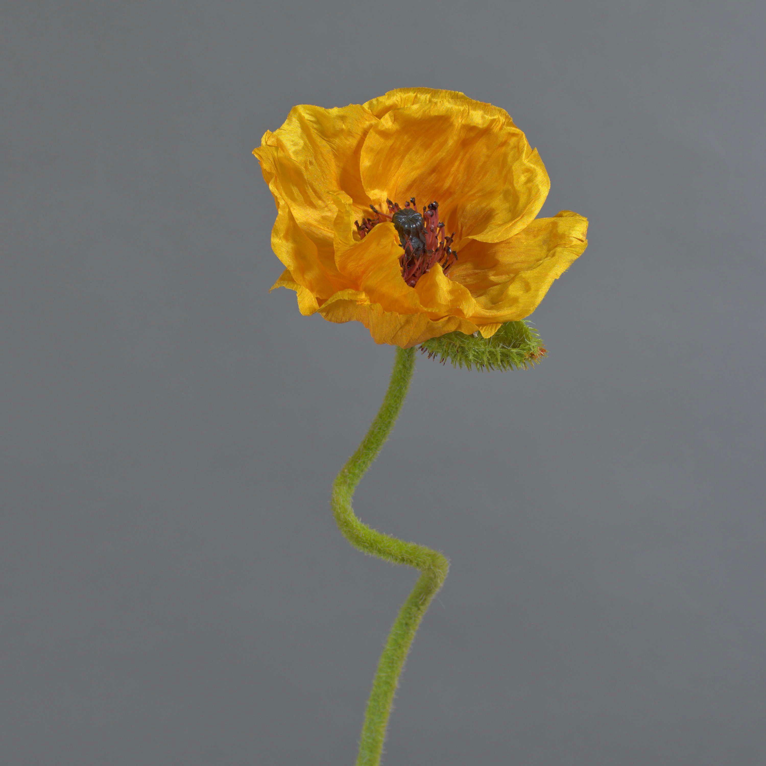 Kunstblume Mohnblume ANKANG, orange-gelb, 70 cm Mohnblume, artplants, Höhe 70.0 cm