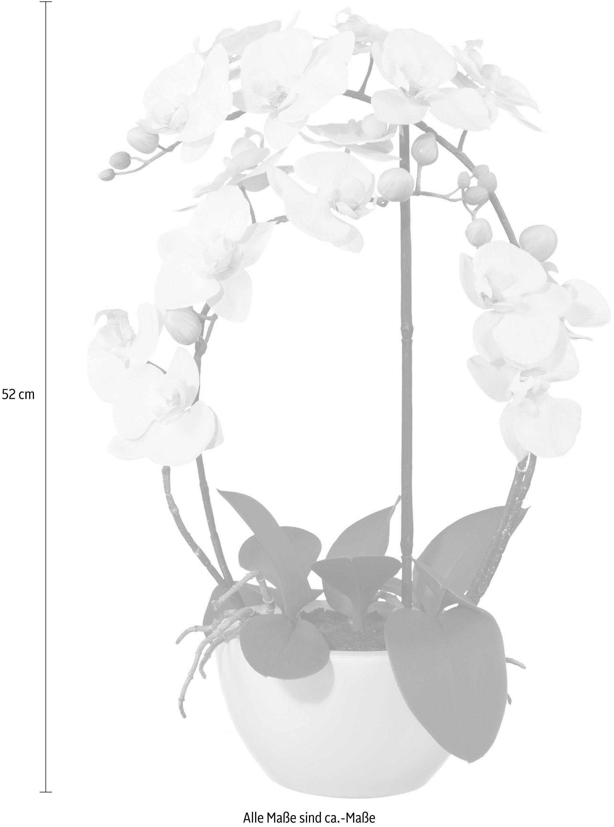 Kunstpflanze Phalaenopsis Orchidee, Creativ green, Höhe 52 cm günstig online kaufen