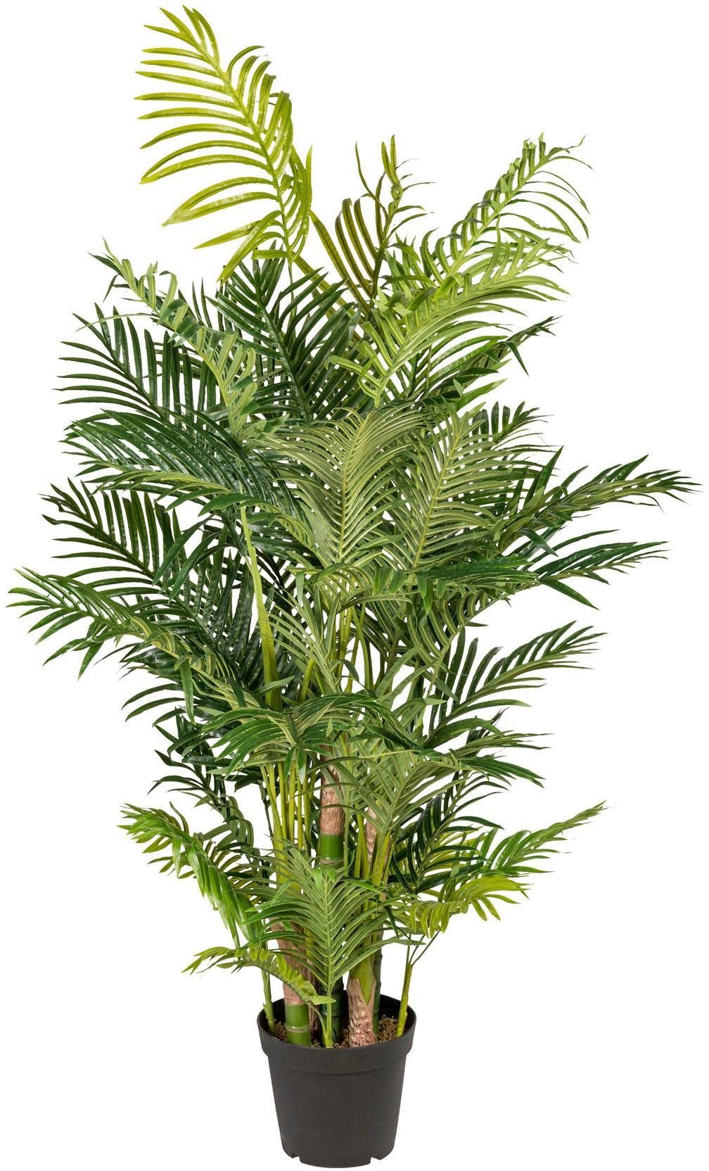Kunstpalme Arecapalme Palme, Creativ green, Höhe günstig online kaufen