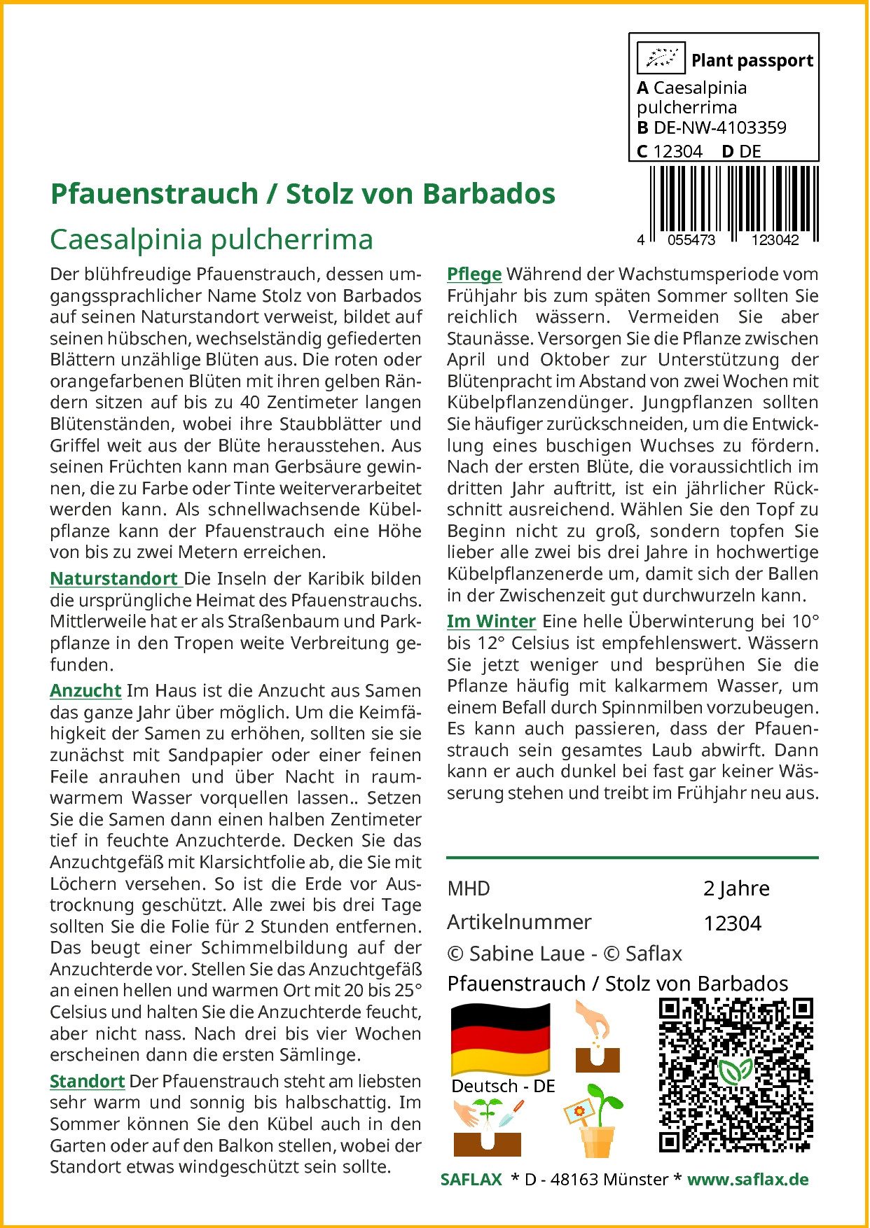 SAFLAX Blumensamen Pfauenstrauch - Caesalpinia - 10 Samen