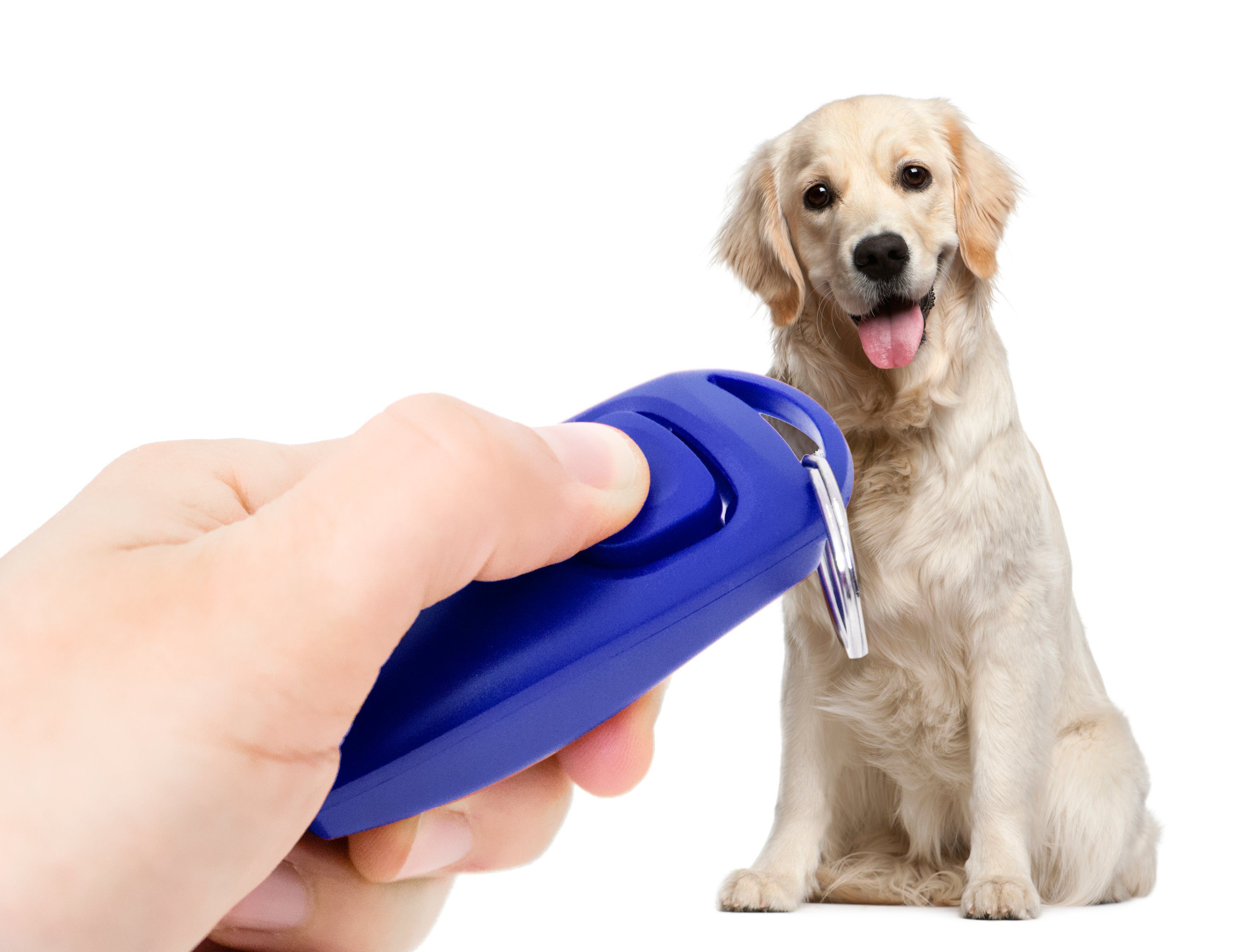 PRECORN Tier-Clicker 2in1 Klicker und Hundepfeife Hunde Clicker Pfeife Hunderziehung, Kunststoff