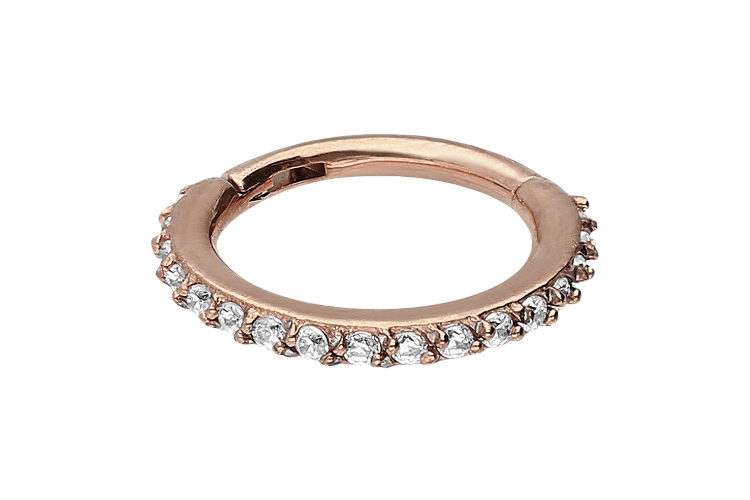 PIERCINGLINE Nasenpiercing Chirurgenstahl Segmentring Clicker EINGEFASSTE K günstig online kaufen