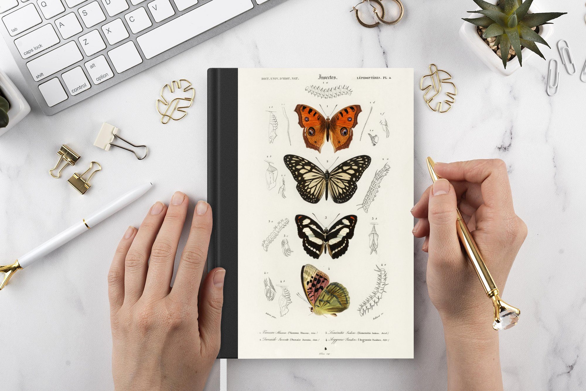 - MuchoWow Insekten, Tagebuch, - 98 Journal, Notizheft, Haushaltsbuch Notizbuch Schmetterling Seiten, Merkzettel, Vintage A5,