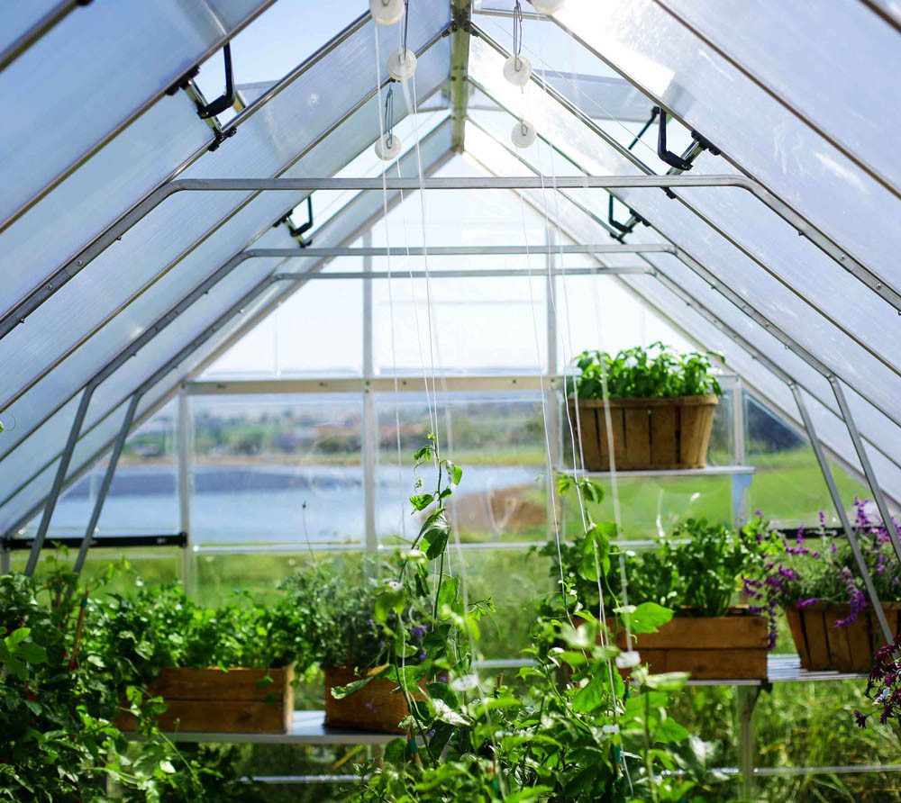 Palram - Canopia Gewächshaus, x 257  | ...