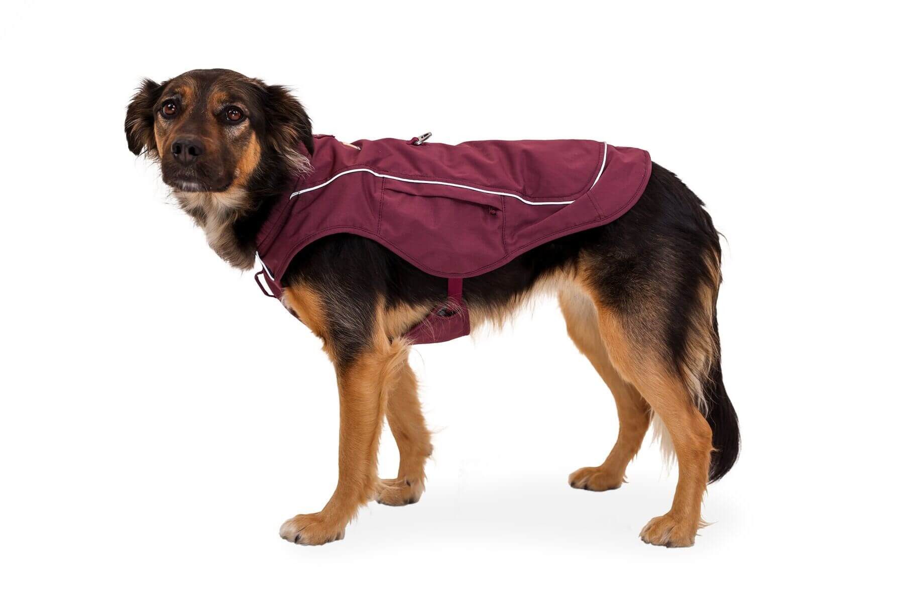 Ruffwear Hundemantel Overcoat Fuse Jacket