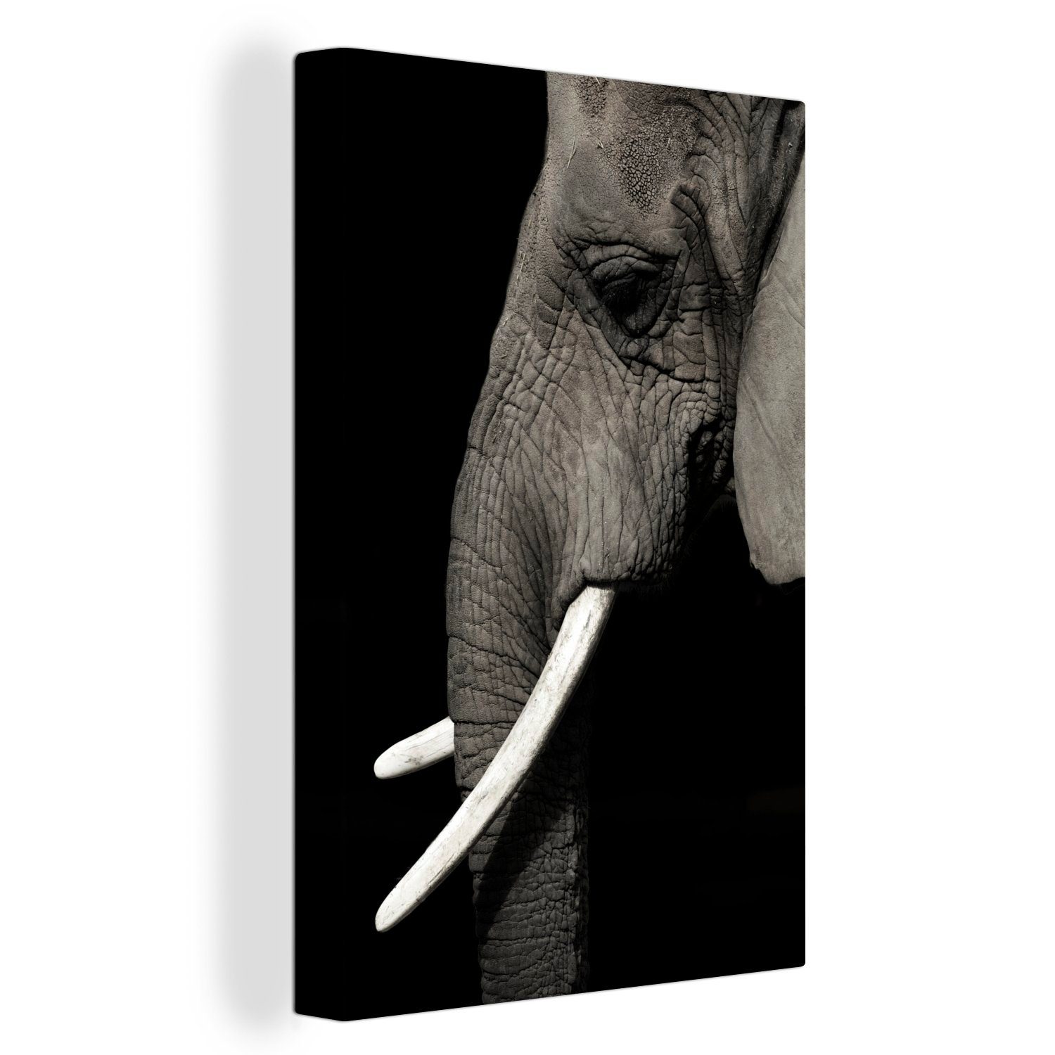 OneMillionCanvasses® Leinwandbild Elefant mit großen Stoßzähnen, (1 St), Leinwandbild fertig bespannt inkl. Zackenaufhänger, Gemälde, 20x30 cm