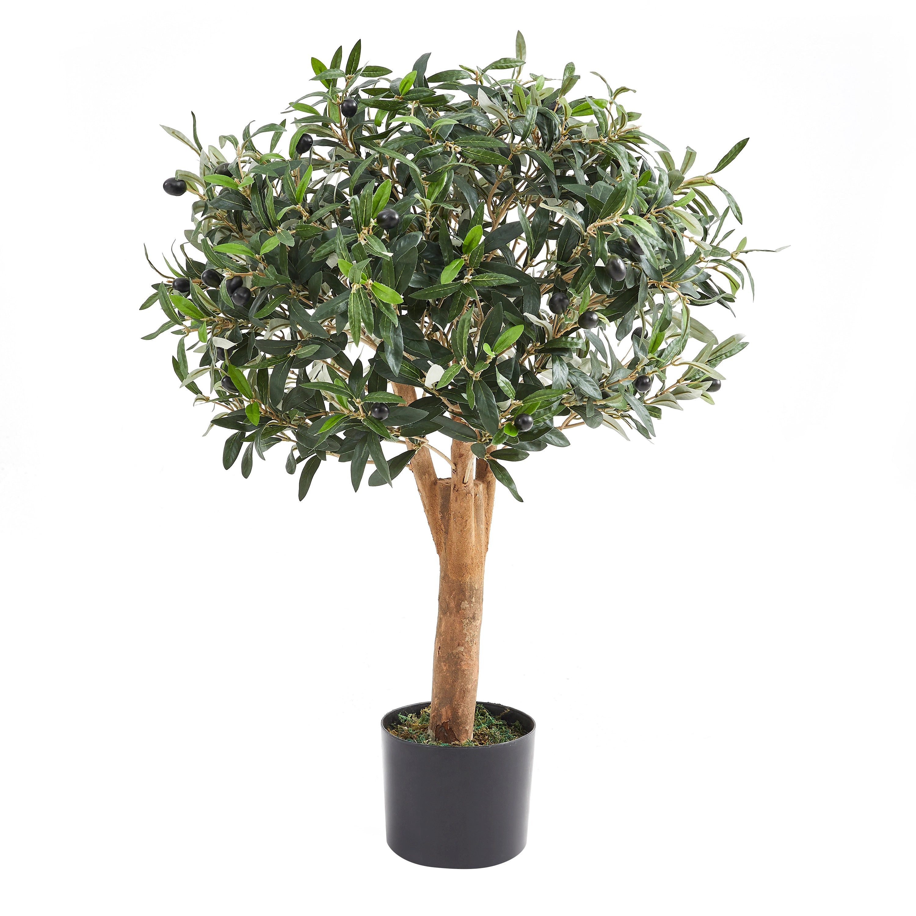Kunstbaum Künstlicher Olivenbaum – Nerio, 75 cm, aplanta