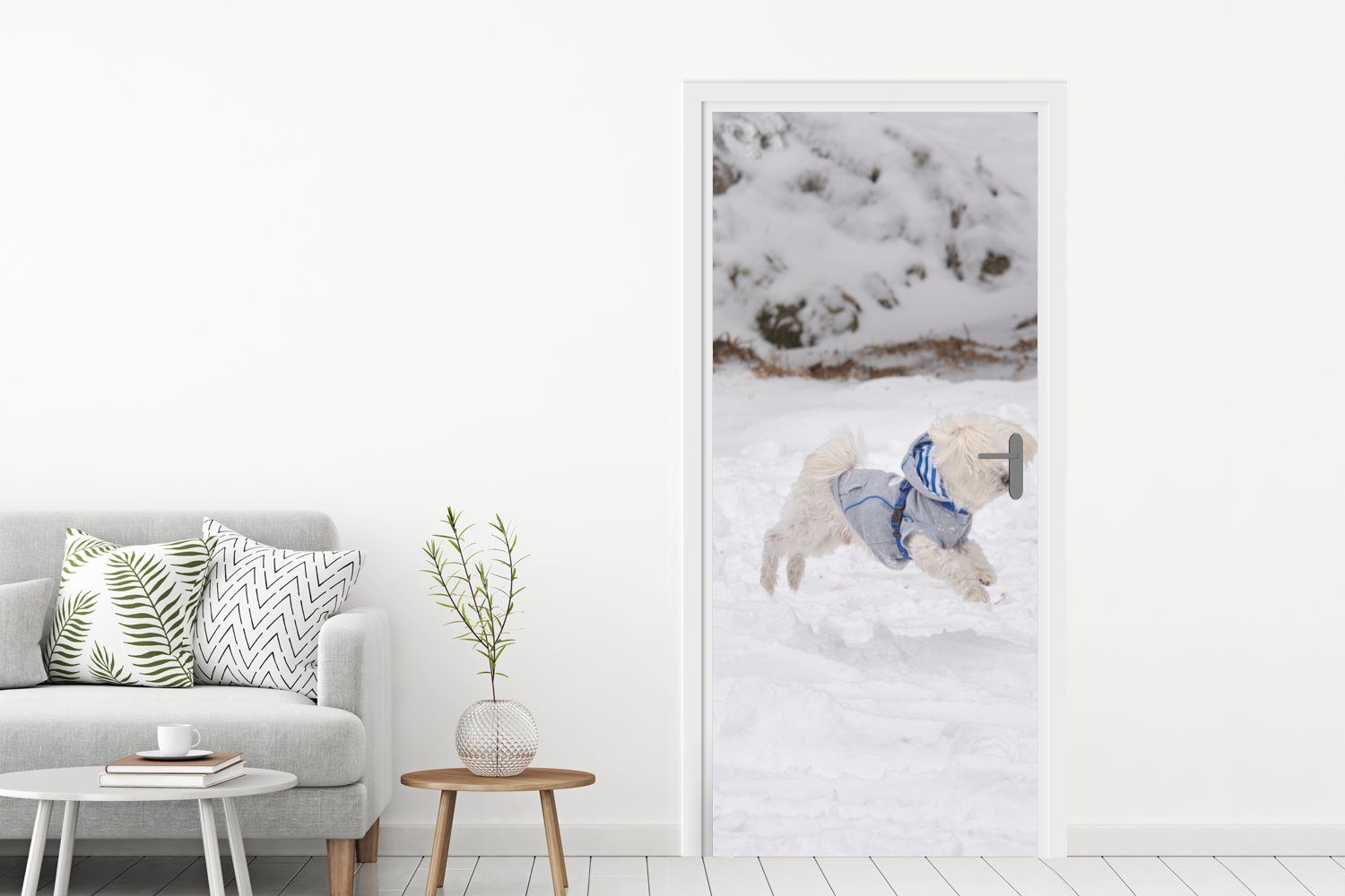 Türaufkleber, Fototapete Matt, den Malteser Hund springt (1 MuchoWow in 75x205 für Schnee, St), cm Tür, Türtapete bedruckt,