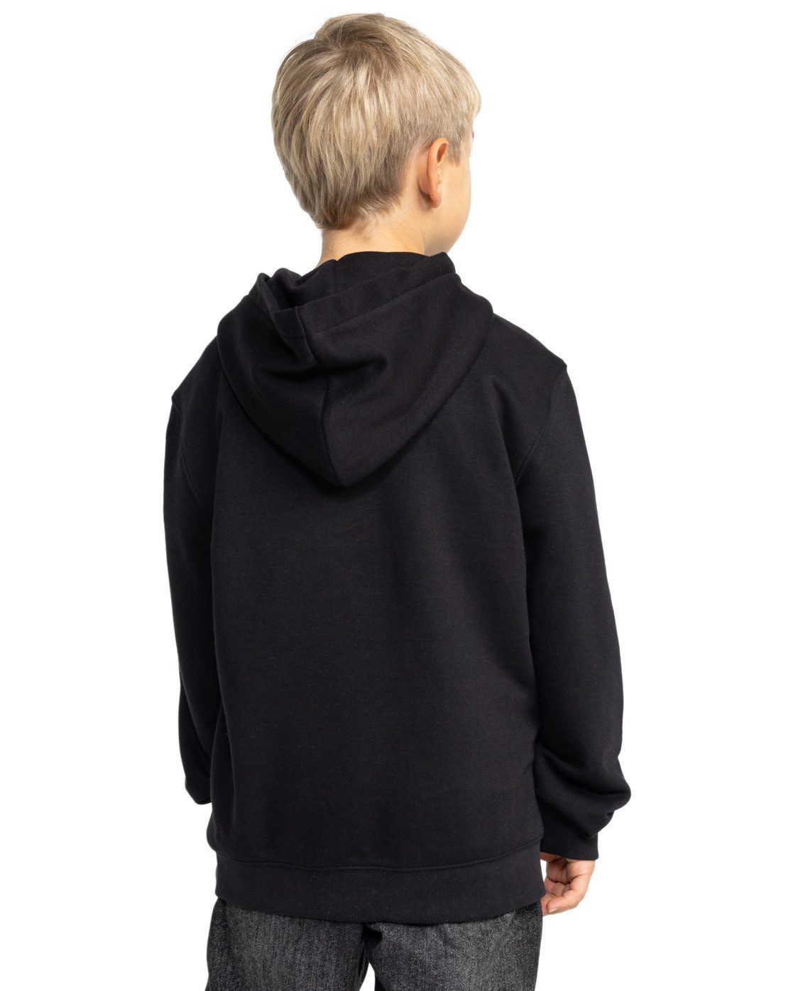 DC Shoes Hoodie Pallet Ph günstig online kaufen
