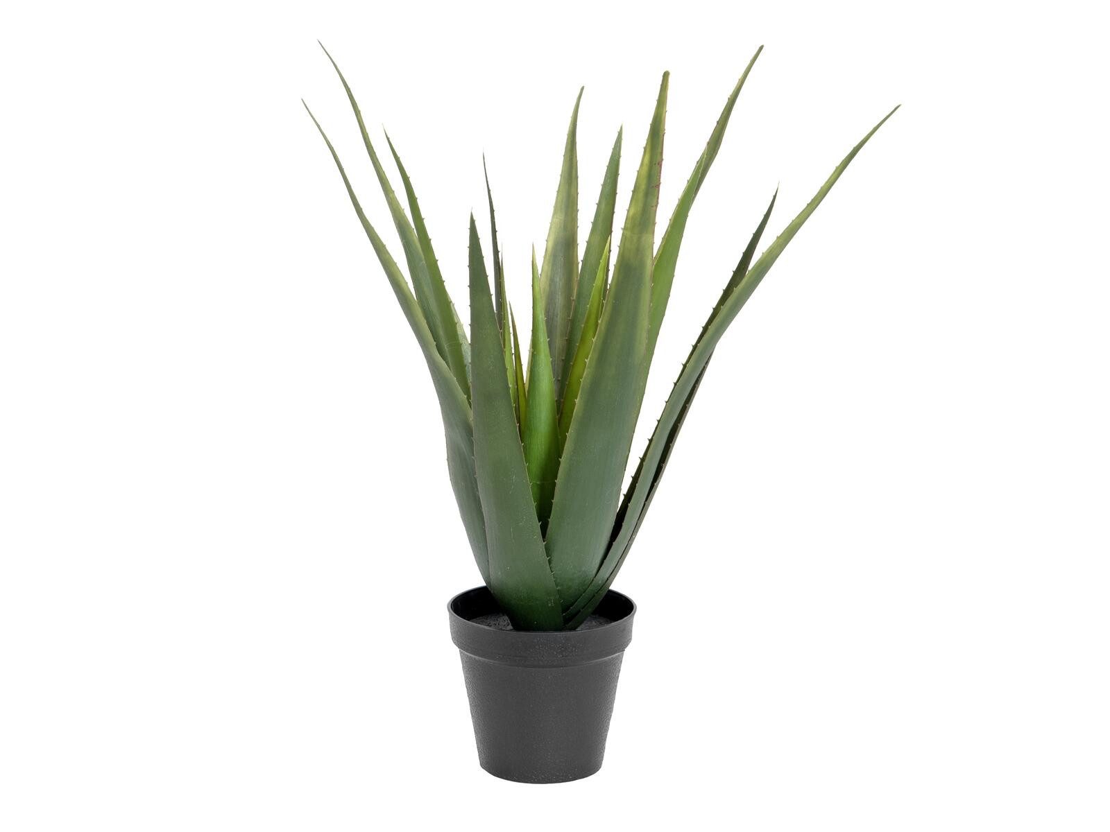 Kunstkaktus EUROPALMS Aloe-Vera Pflanze, Kunstpflanze, 60cm, EUROPALMS, Höhe 13,5 cm