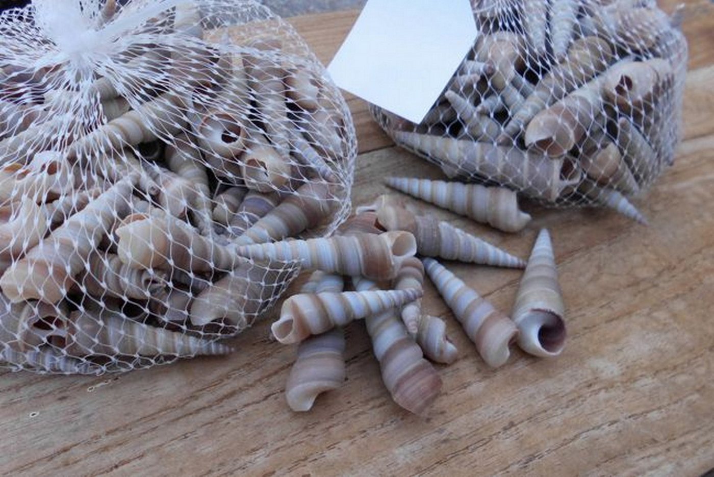 Thumbnail - Deko-Impression Streudeko 2 Netze Muscheln 4-6 cm, beige. Mediterrane Deko Streudeko. Maritim, (2-tlg)