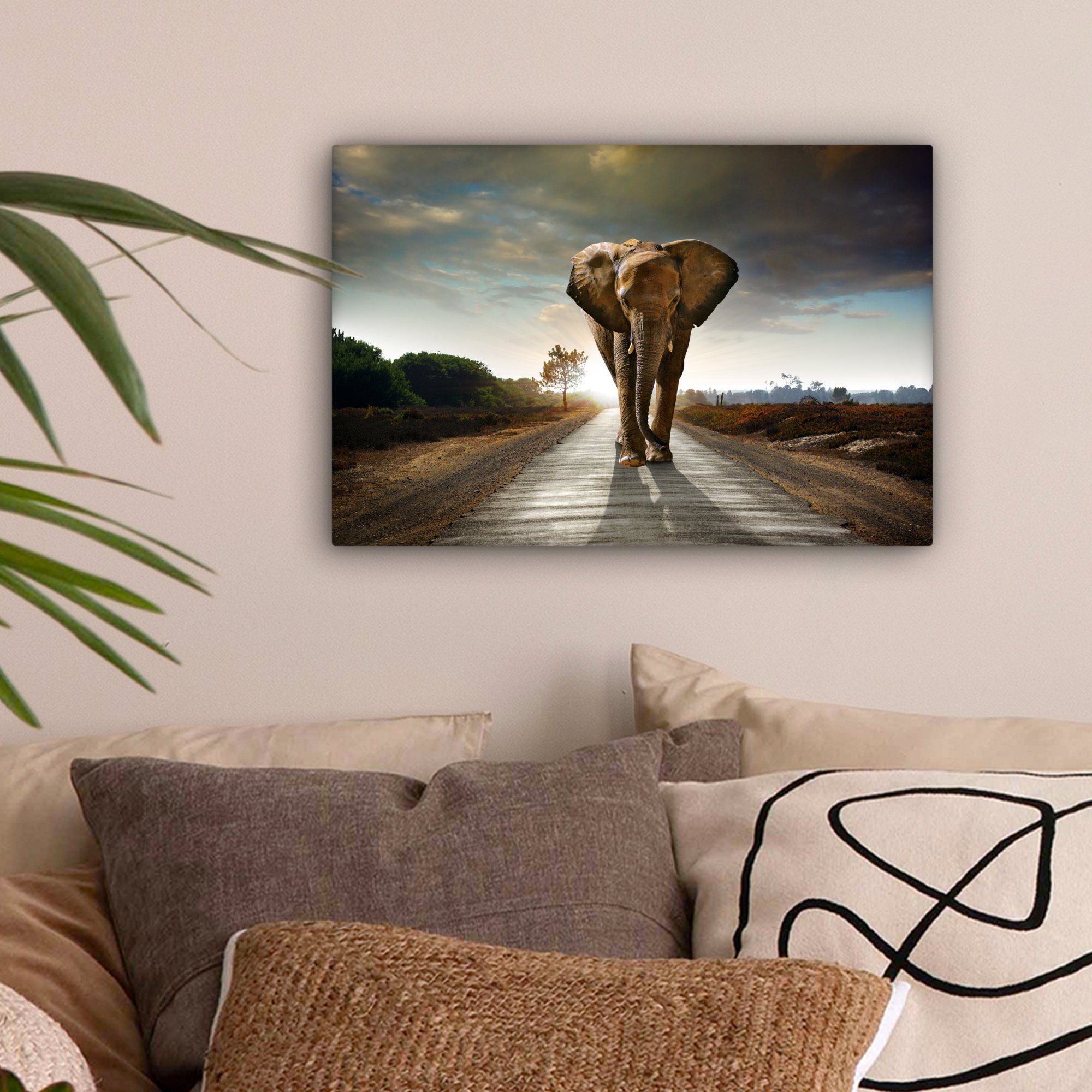 OneMillionCanvasses® Leinwandbild Elefant - Straße - Tiere - Sonnenuntergan günstig online kaufen