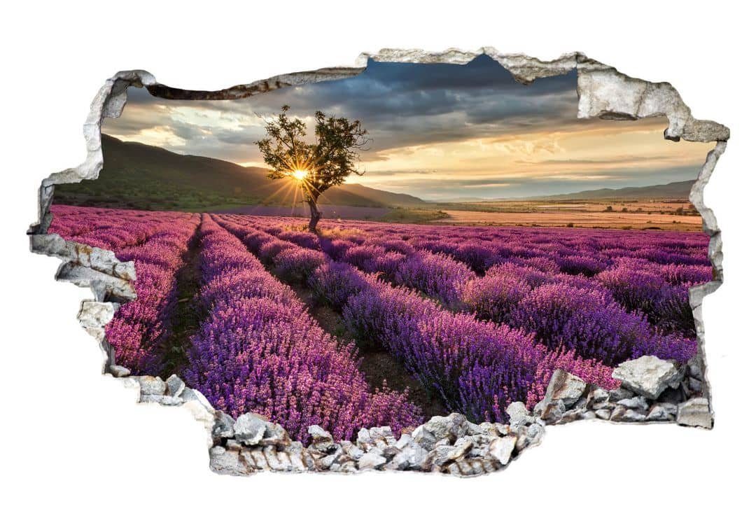 K&L Wall Art Wandtattoo 3D Wandtattoo günstig online kaufen
