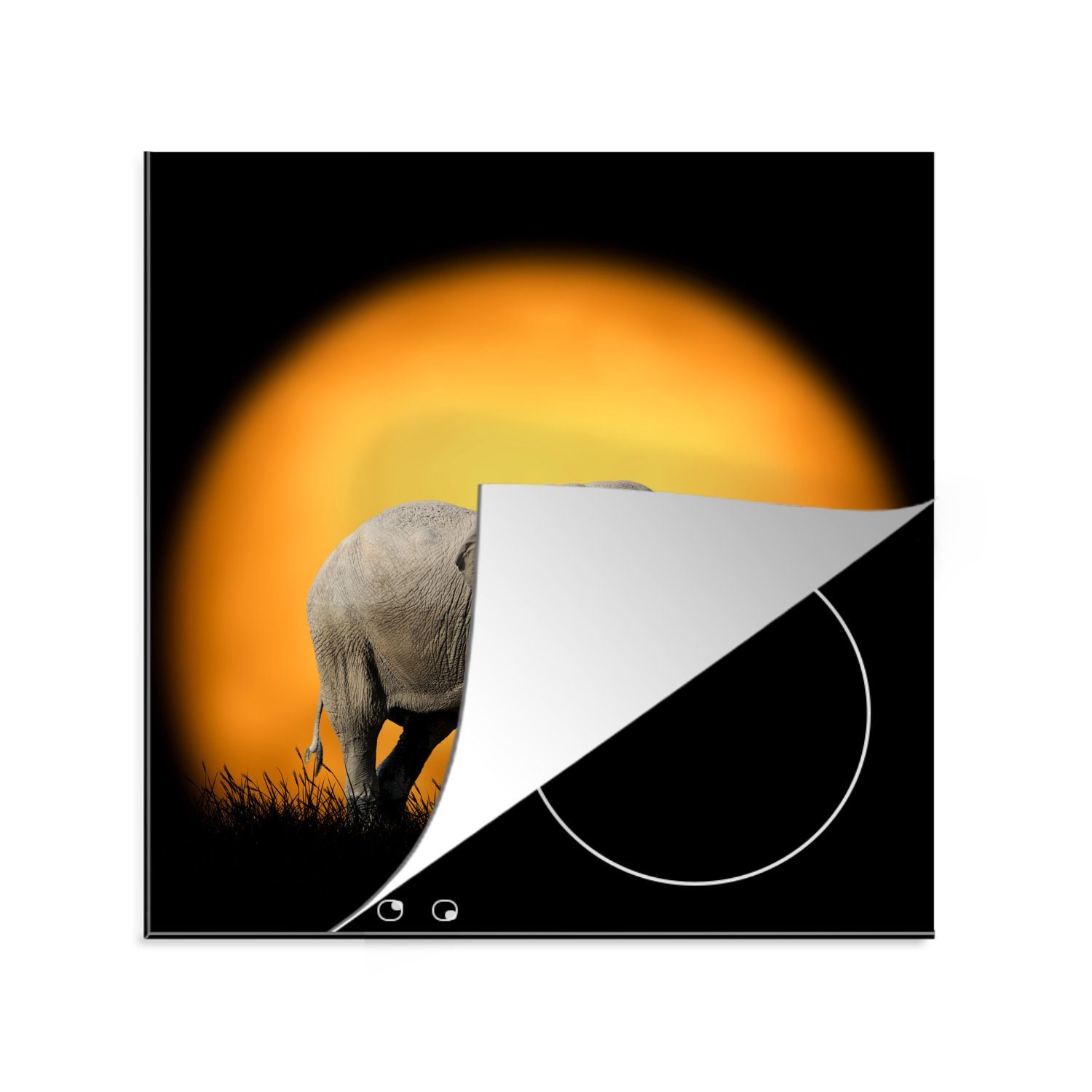 MuchoWow Herdblende-/Abdeckplatte Elefant - Sonne - Zähne, Vinyl, (1 tlg), 78x78 cm, Ceranfeldabdeckung, Arbeitsplatte für küche