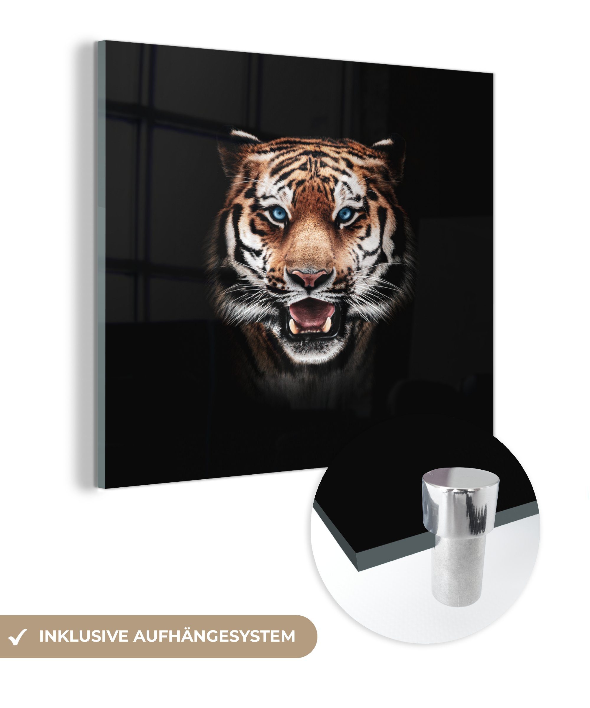 MuchoWow Acrylglasbild Tiger - Tiere - Schwarz, (1 St), Glasbilder - Bilder auf Glas Wandbild - Foto auf Glas - Wanddekoration