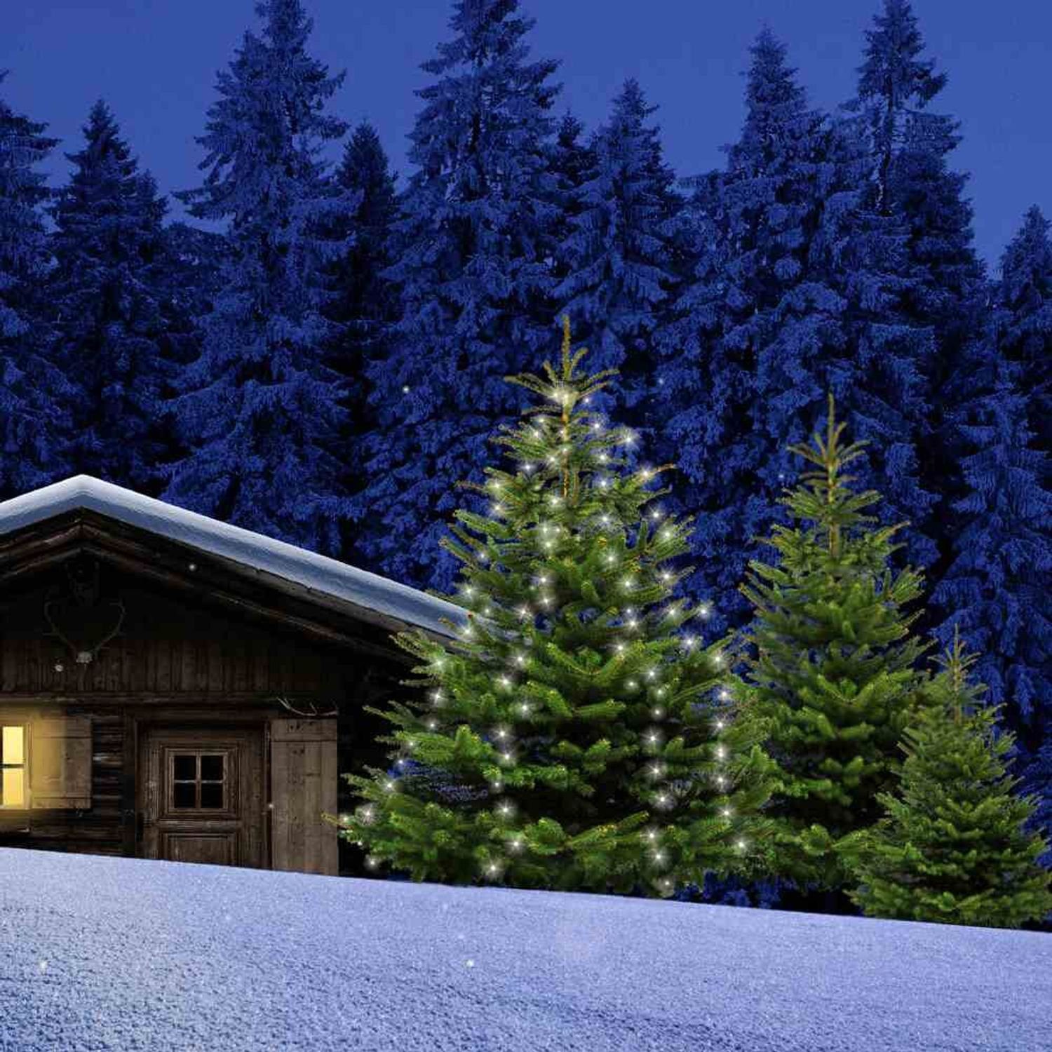 BURI Lichterkette Tannenbaum Leuchtnetz Lichternetz 200 günstig online kaufen