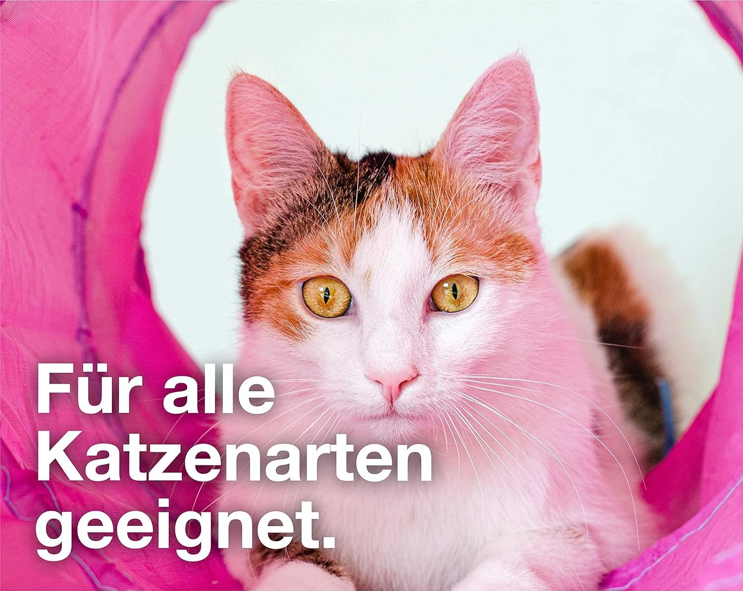 Gartiva® Tier-Beschäftigungsspielzeug 20 TLG Set Katzenspielzeug Spielzeug für div. Katzen Spaß mit Haustier, Schonend für Zähne und Pfoten