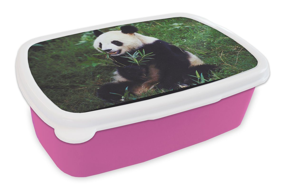 MuchoWow Lunchbox Panda - Wilde - rosa Snackbox, für Kinder, Gras, Tiere - (2-tlg), Brotdose Mädchen, Kunststoff, Erwachsene, Kunststoff Brotbox Bambus