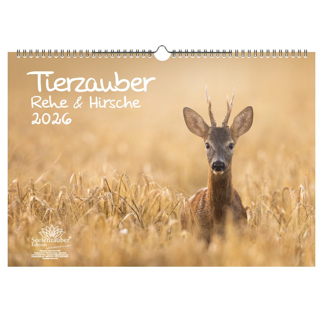 Seelenzauber Настенный календарь Tierzauber Rehe & Hirsche DIN A3 Календари für 2026 - Seelenzauber