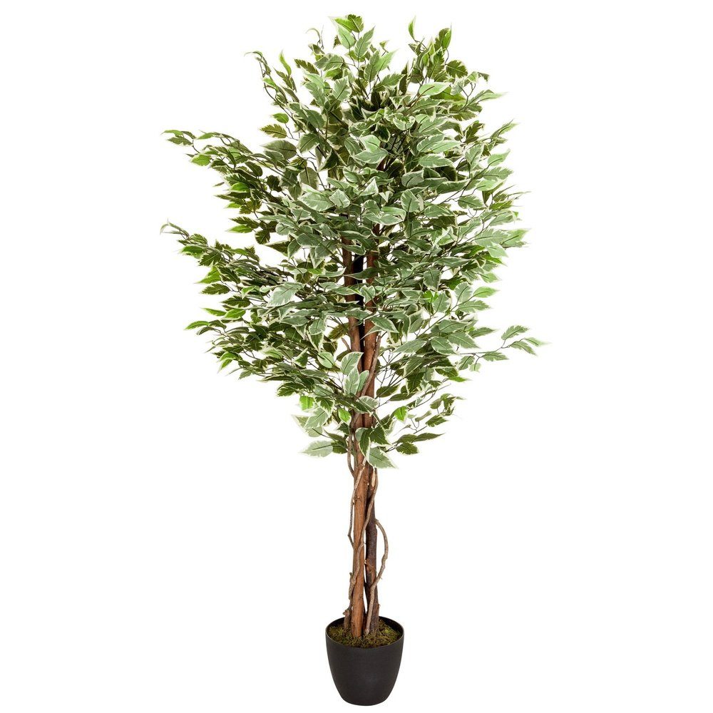 Kunstpflanze Kunstpflanze FICUS Kunststoff, Stoff Birke, hjh OFFICE, Höhe 165.0 cm, Künstliche Pflanze Benjamini im Kunststofftopf Kunstbaum Echtholzstamm