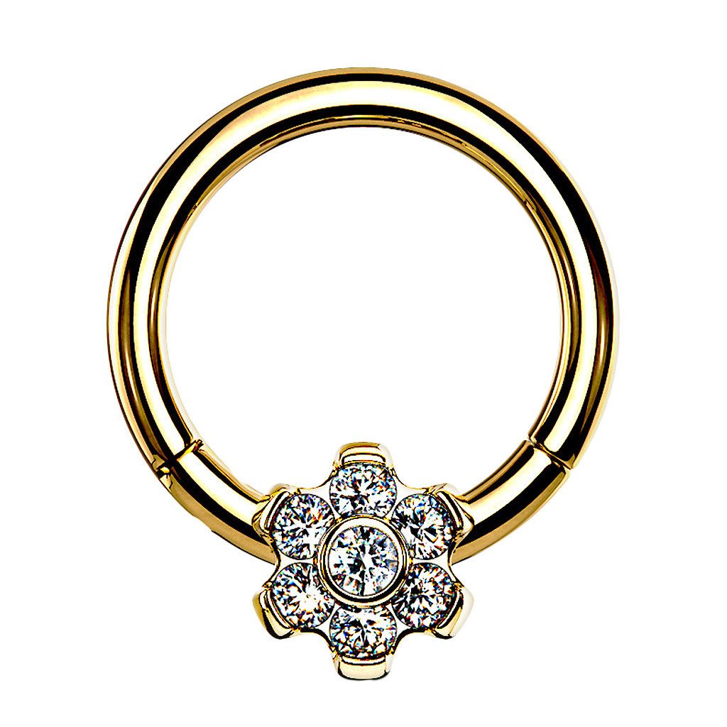 Taffstyle Nasenpiercing Titan Septum Helix Scharnier günstig online kaufen