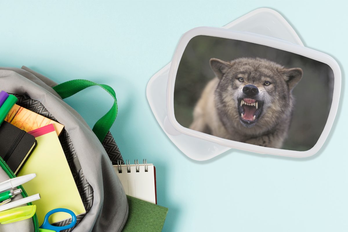MuchoWow Lunchbox Wolf - Maul Mädchen - für Zähne, Jungs Brotdose, Kunststoff, Brotbox und weiß Erwachsene, Kinder (2-tlg), für und
