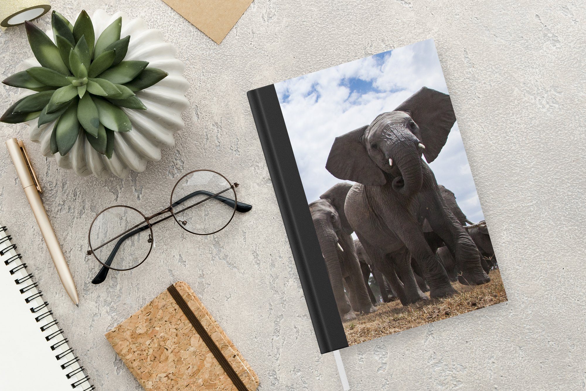 98 Journal, Seiten, A5, Tiere - Merkzettel, - Flachland, Notizbuch Haushaltsbuch Elefant Natur Notizheft, - MuchoWow Tagebuch,