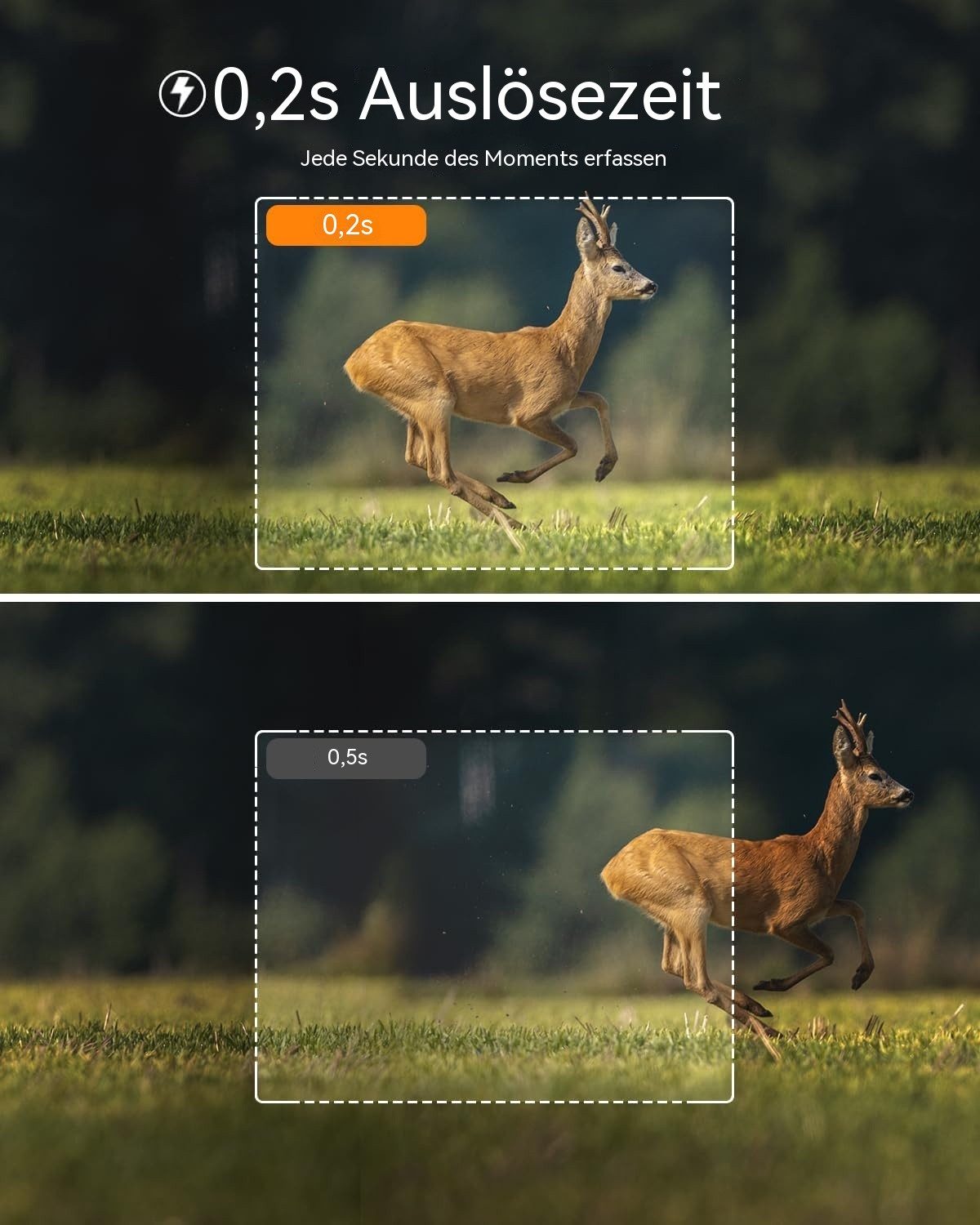 Usogood Wildkamera 2K 36MP Wildkamera Ohne WLAN, Wildtierkamera 850nm IR LEDs (Außenbereich, für die Tierbeobachtung Heim Sicherheit, mit Bewegungsmelder Nachtsicht Wildkamera Testsieger Jagd 0,2s Auslöser, 1-tlg., 120° Erfassungswinkel Infrarot Nachtsichtkamera Outdoor Testsieger, für den Garten mit 32GB Speicherkarte & 4 AA-Batterien)