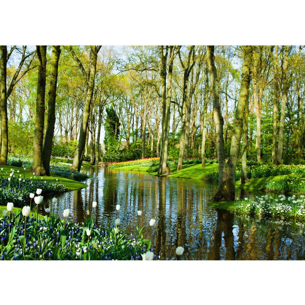 Natur Wasser Wald Fototapete Bäume Frühling liwwing 256, no. liwwing Sonne Wald Fototapete