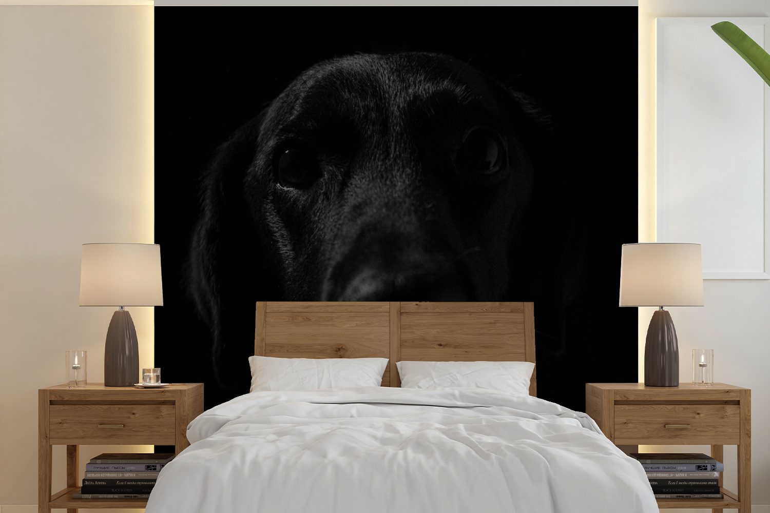 St), Vinyl MuchoWow Hund für oder Matt, Fototapete Labrador, Tapete - Schwarz Schlafzimmer, (5 bedruckt, Wandtapete - Wohnzimmer