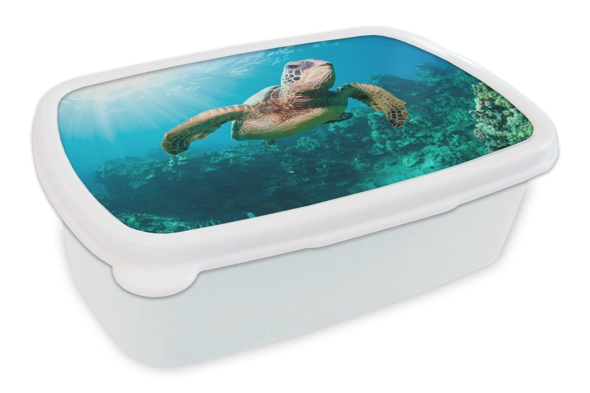 MuchoWow Lunchbox Schwimmende Schildkröte Fotodruck, Kunststoff, (2-tlg), Brotbox für Kinder und Erwachsene, Brotdose, für Jungs und Mädchen weiß