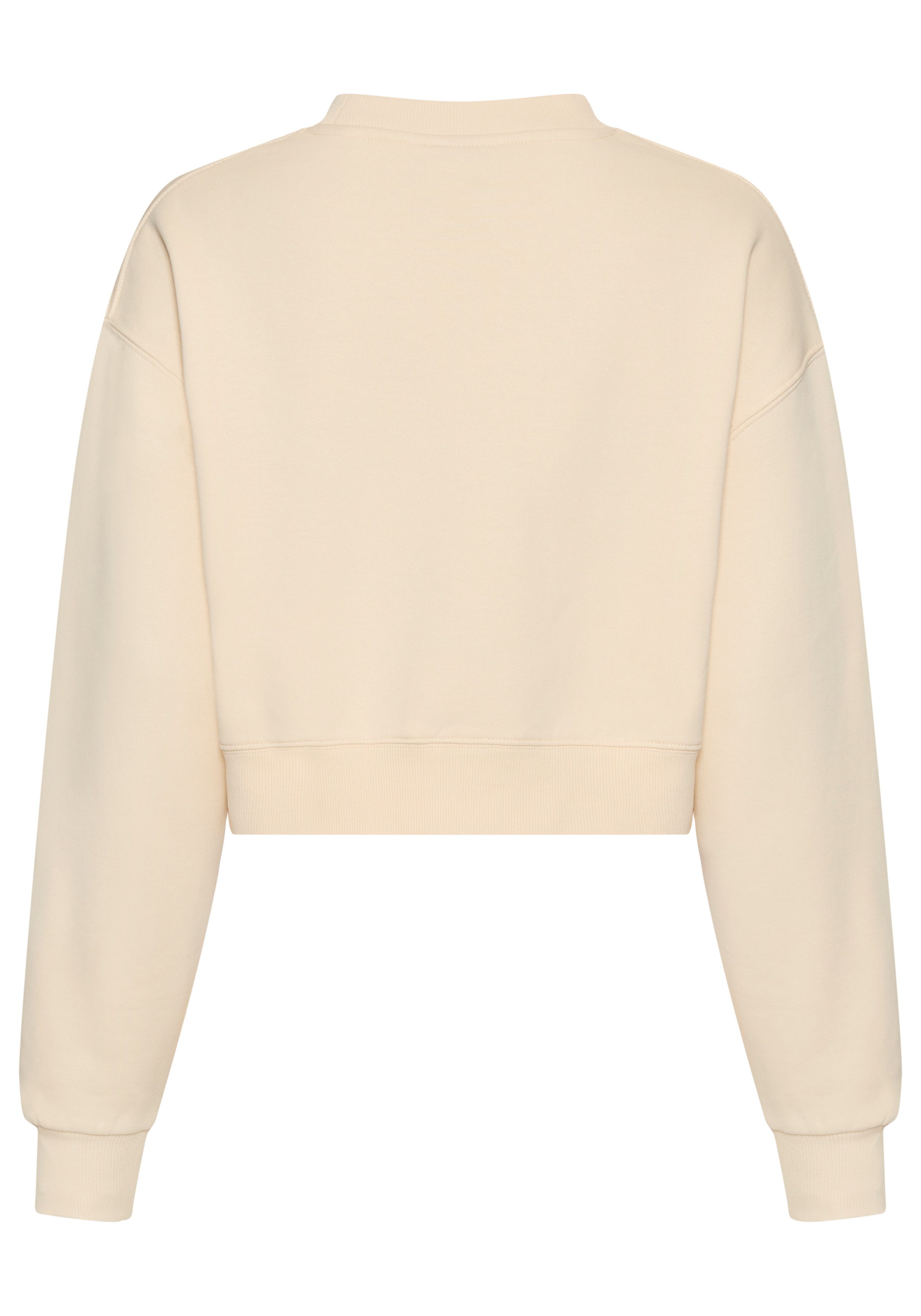 Santa Cruz Sweatshirt WINKOWSKI 8BALLER STRIP CREW