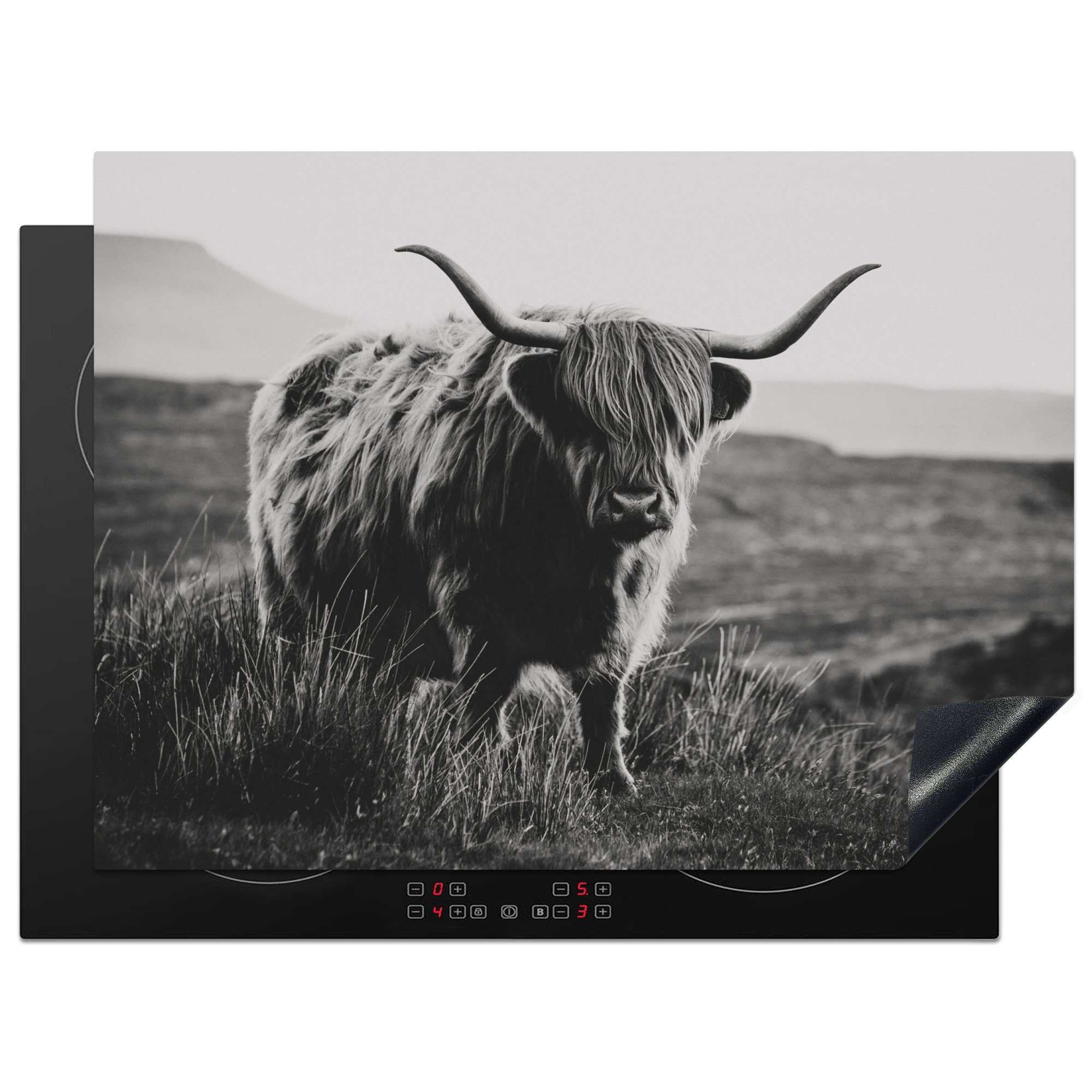 MuchoWow Herdblende-/Abdeckplatte Schottischer Hochlandbewohner - Natur - Kühe - Tiere - Schwarz und, Vinyl, (1 tlg), 70x52 cm, Mobile Arbeitsfläche nutzbar, Ceranfeldabdeckung