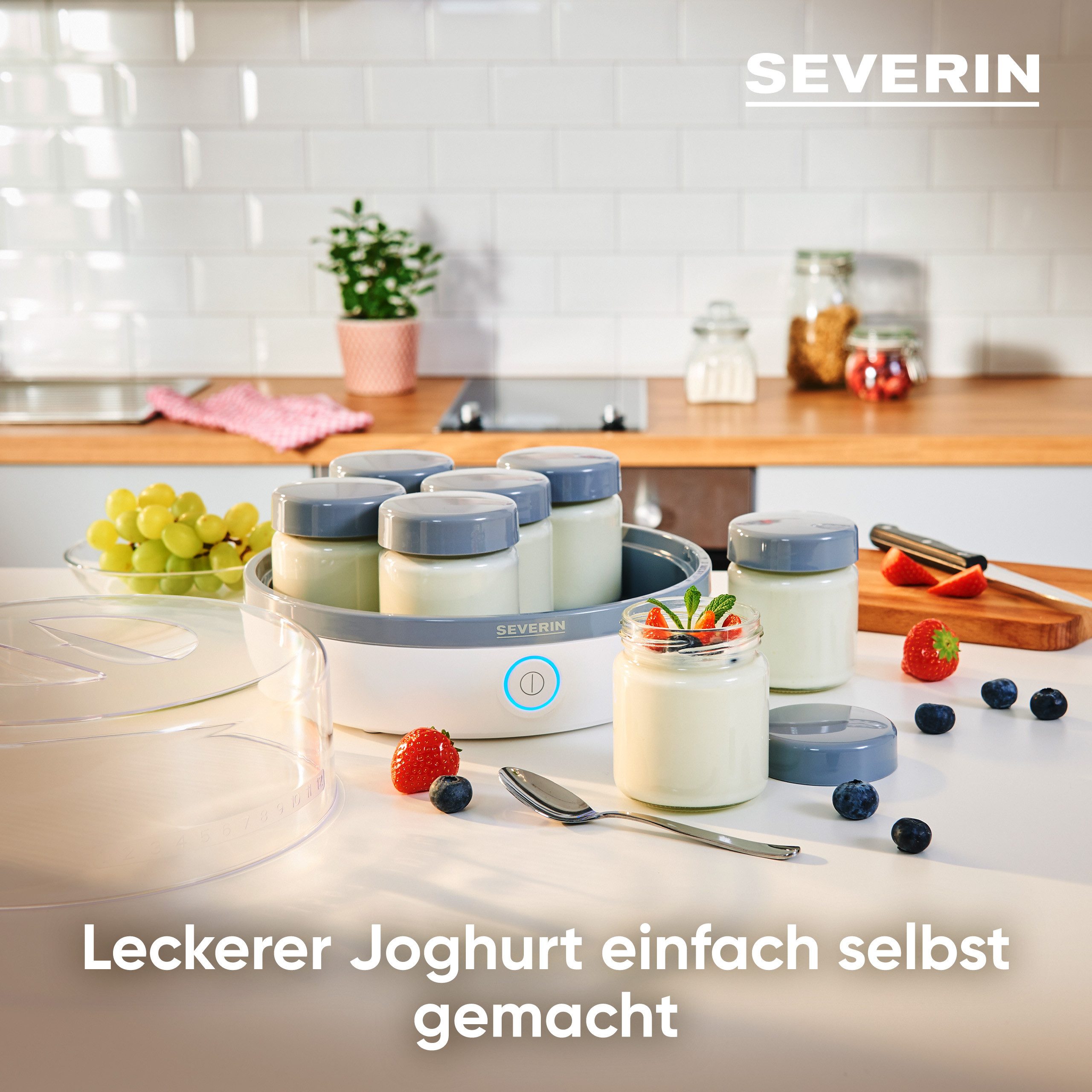 Severin Joghurtbereiter JG 3518, 7 Portionsbehälter, je 150 ml