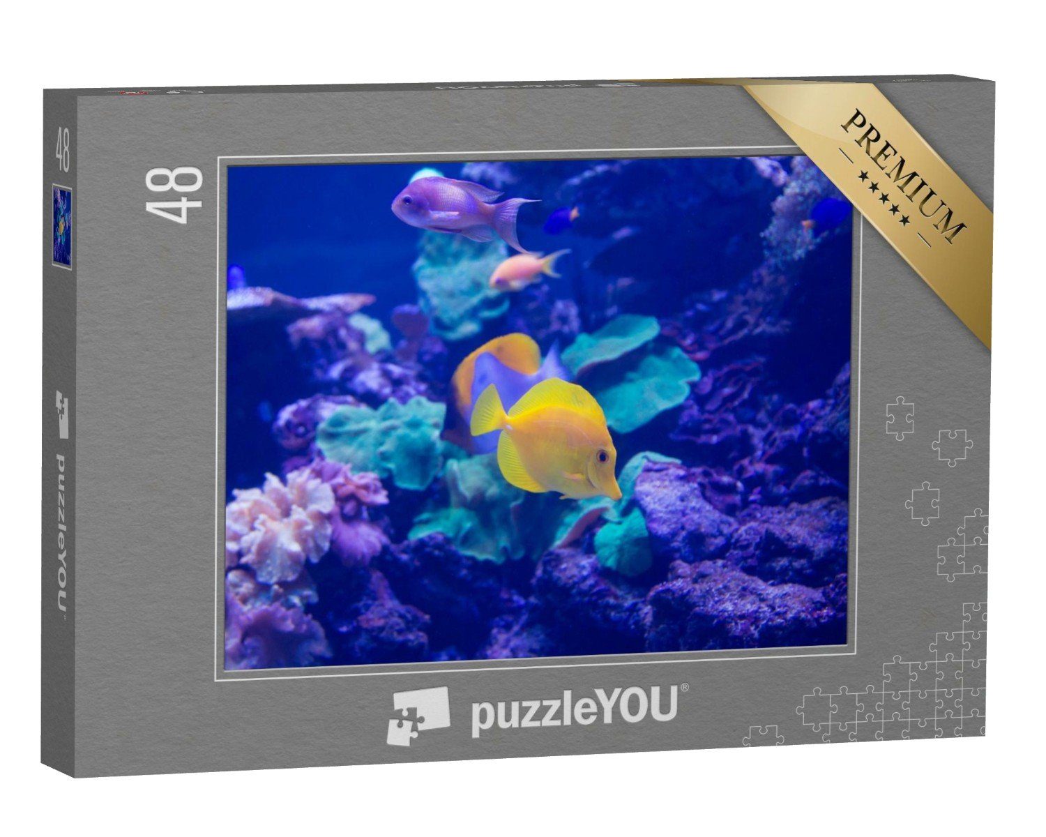 puzzleYOU Puzzle Meeresfische schwimmen im Aquarium, 48 Puzzleteile, puzzleYOU-Kollektionen Fische
