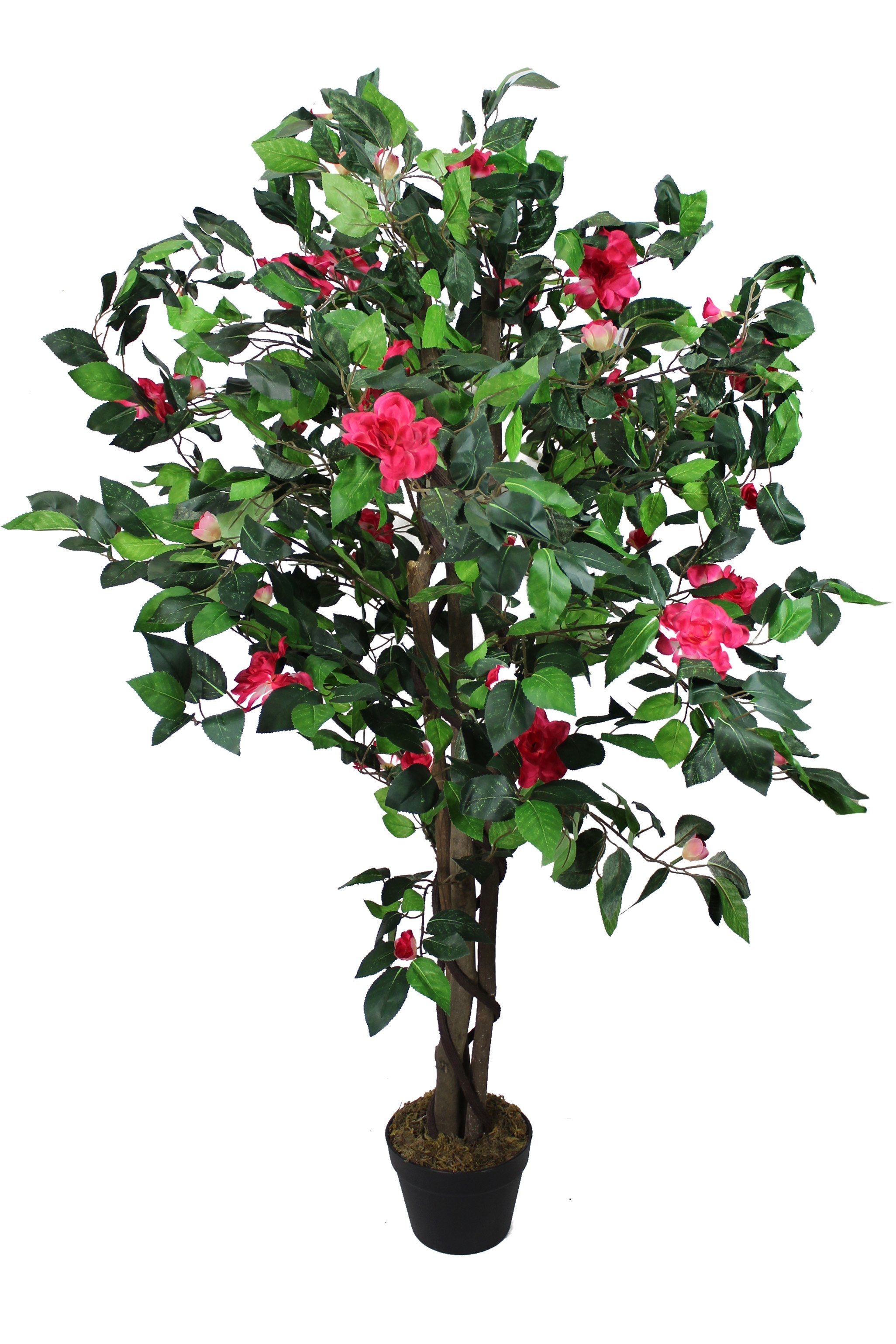 fertig mit 960 künstliche Kamelie Topf Kamelie, Höhe cm, Rot Blütenbaum 140 im Kunstpflanze Arnusa, Blätter