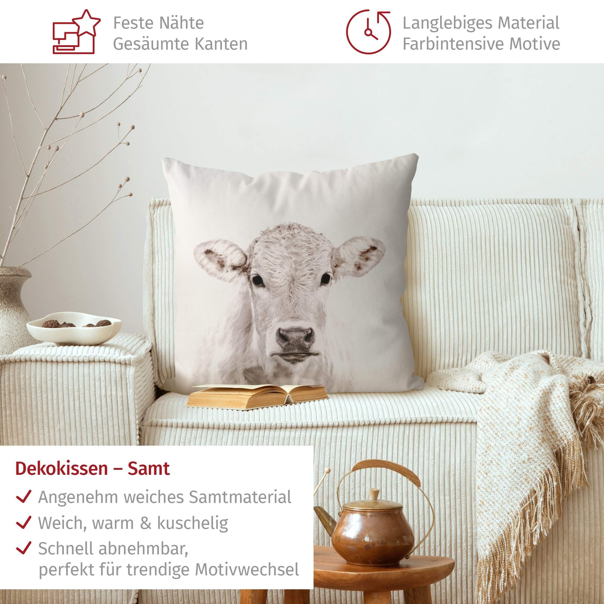 Bilderdepot24 Dekokissen drinnen Kissenhülle/ Sofakissen/ Zierkissen Kissenhülle grau Tiere Mot, Bezug mit / ohne Füllung Zierkissen Outdoor Sofa Bett