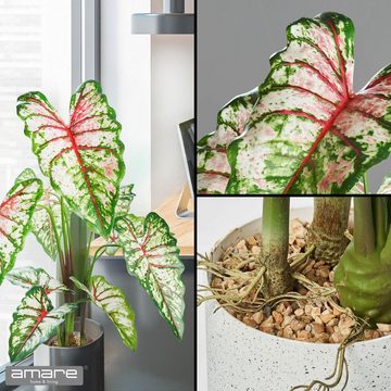 Kunstpflanze Dekopflanze Syngonium im Topf Dekopflanze, Amare home, Höhe 100 cm