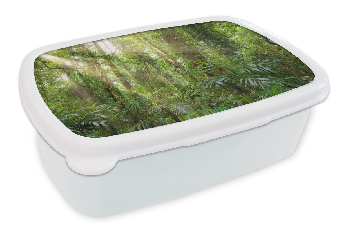 MuchoWow Lunchbox Licht im Wald, Kunststoff, (2-tlg), Brotbox für Kinder und Erwachsene, Brotdose, für Jungs und Mädchen weiß