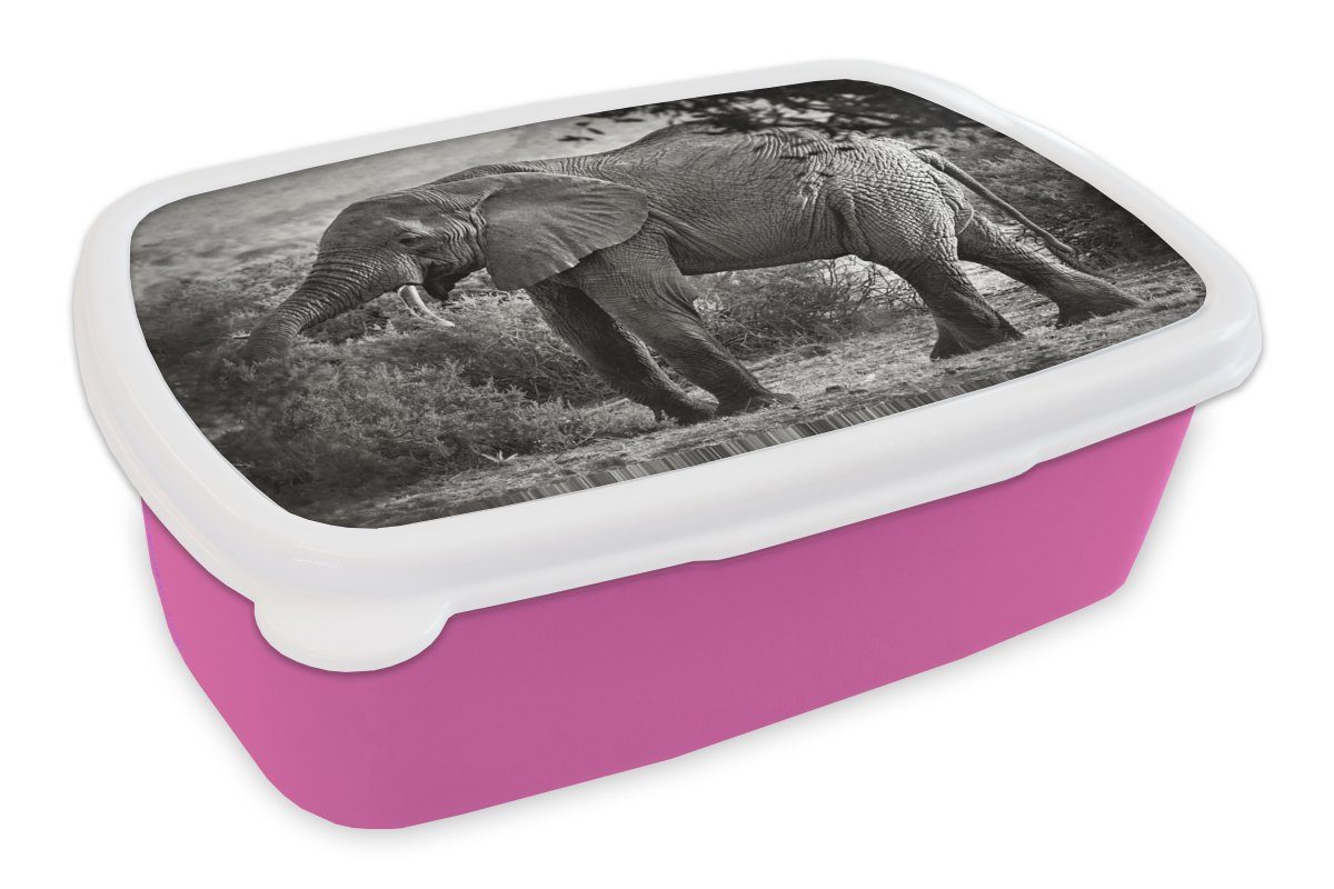 MuchoWow Lunchbox Elefant - Tiere - Bäume - Schwarz - Weiß, Kunststoff, (2-tlg), Brotbox für Erwachsene, Brotdose Kinder, Snackbox, Mädchen, Kunststoff rosa