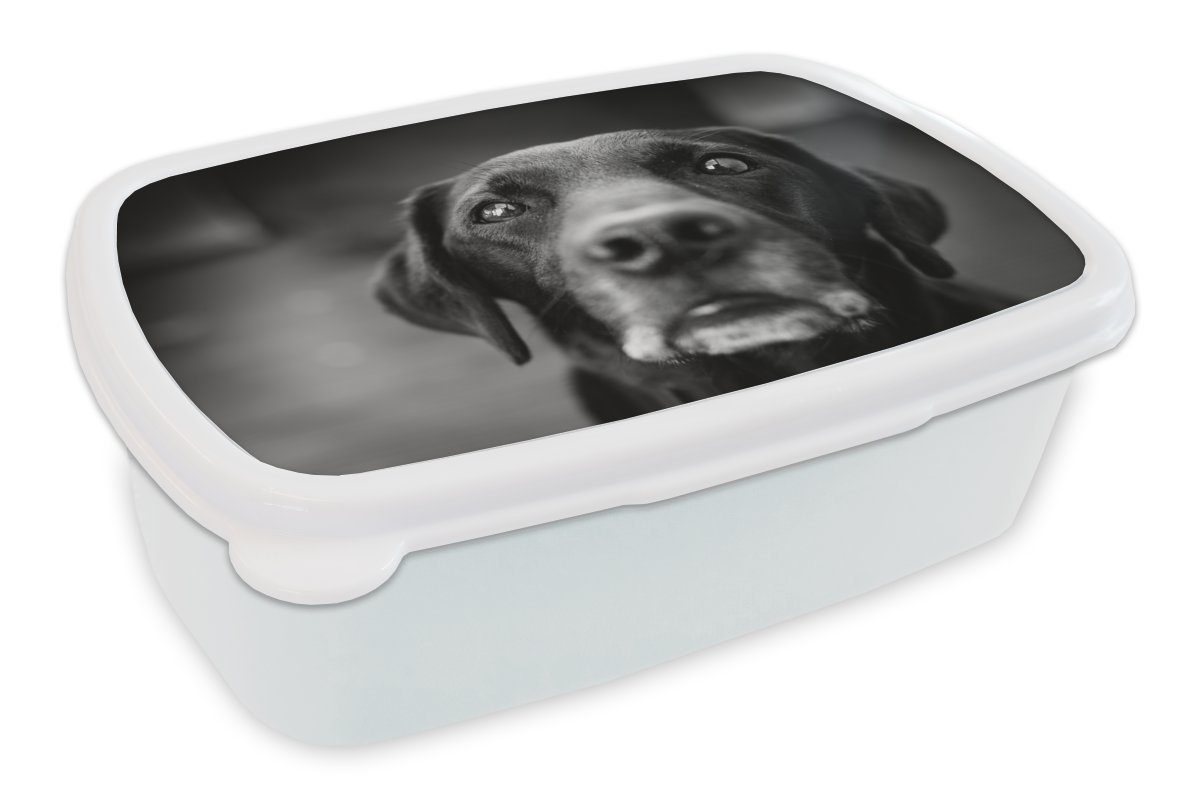 MuchoWow Lunchbox Tierprofil Labrador Hund in schwarz und weiß, Kunststoff, (2-tlg), Brotbox für Kinder und Erwachsene, Brotdose, für Jungs und Mädchen