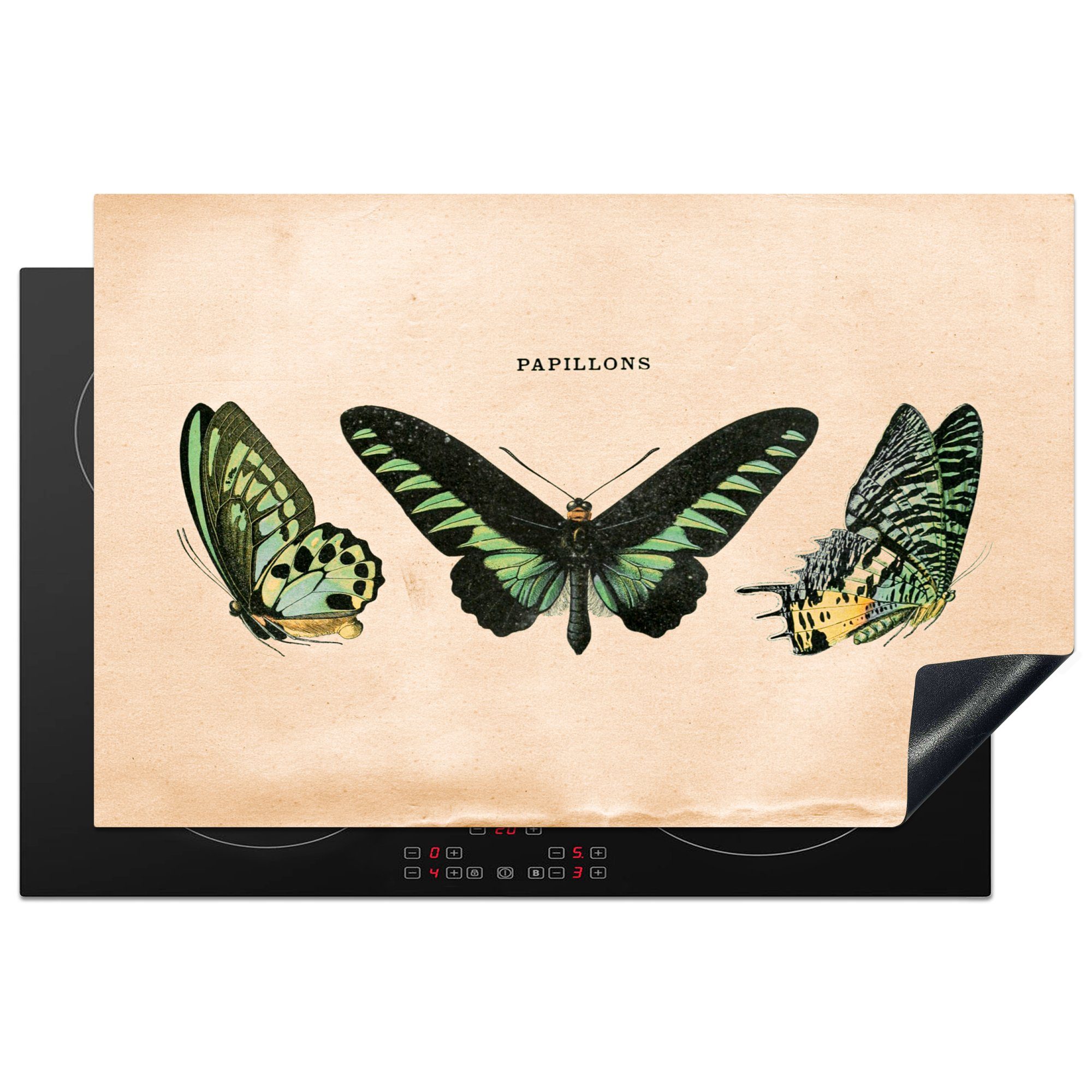 - tlg), die Schmetterling MuchoWow - für Vinyl, Insekt, Tier Induktionskochfeld 81x52 Schutz Herdblende-/Abdeckplatte küche, Ceranfeldabdeckung cm, (1