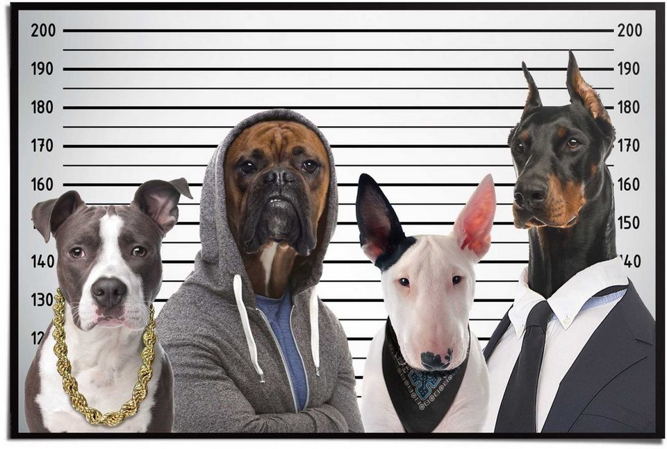 Mug Shot, St) Poster Reinders! (1 Hunde